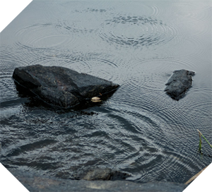 ripples on a pond