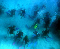 A circle of divers prcatice their skills