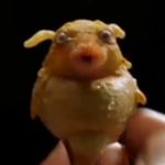 alien